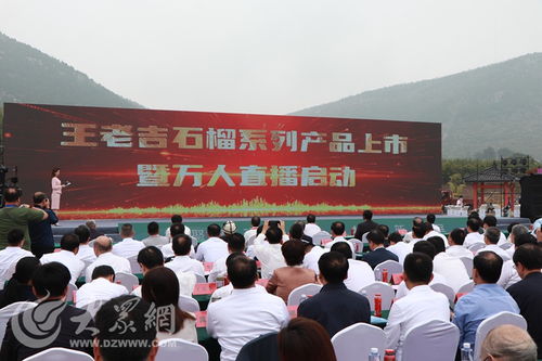 榴聚新動能 2023石榴產業發展大會在棗莊開幕，共繪產業與文化交融新藍圖